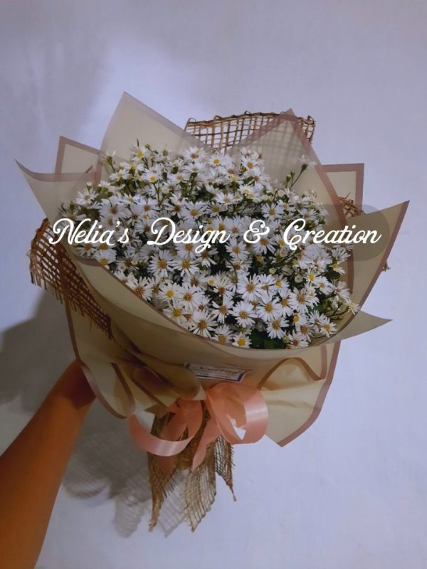 Daisy Delight
